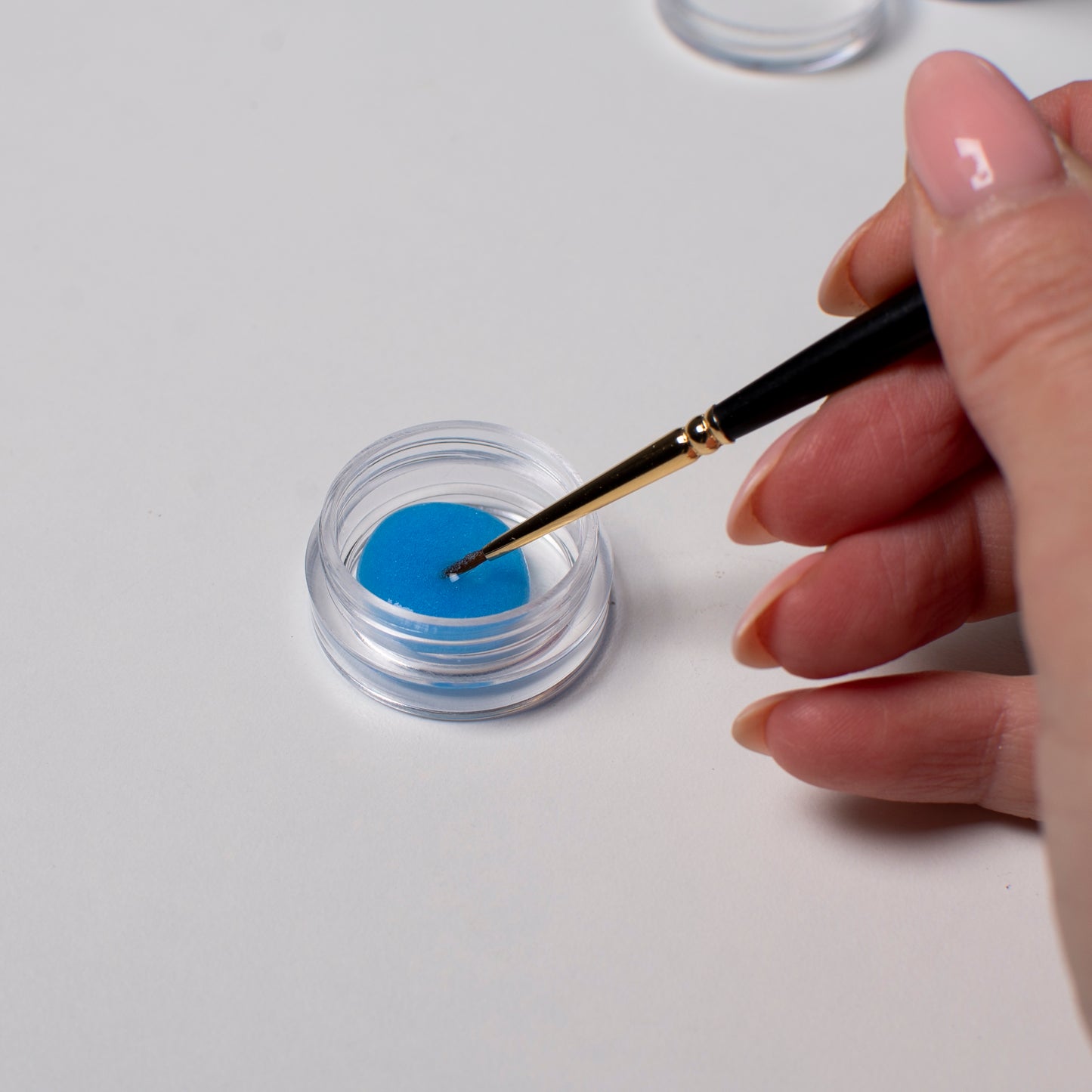 Plastic box with round screw-top jars - 12pcs., 19.5x9.5x2 cm